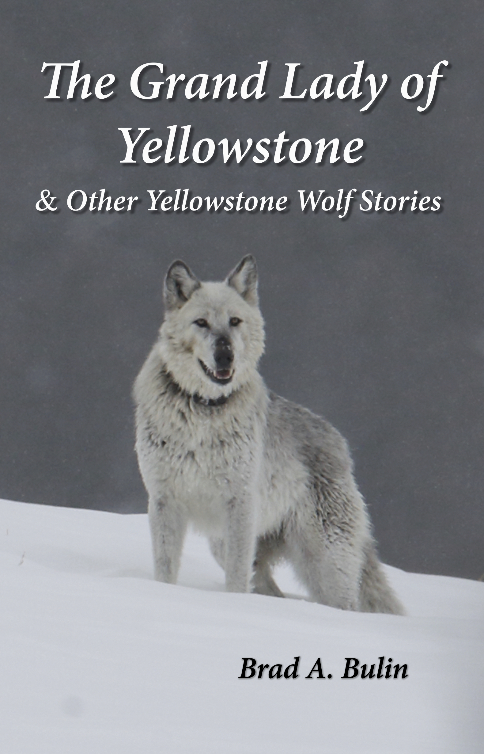 The Grand Lady of Yellowstone